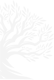image background